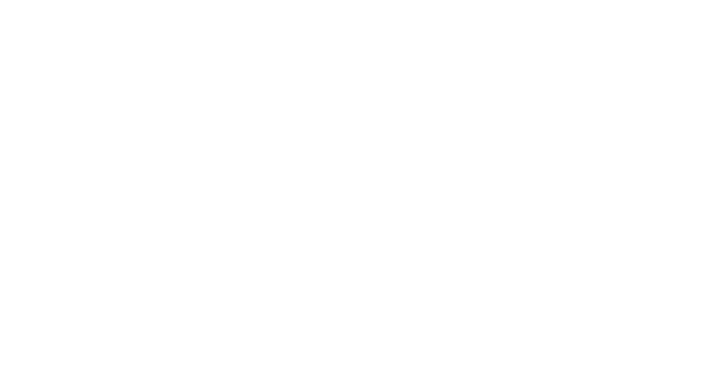 Accela Group