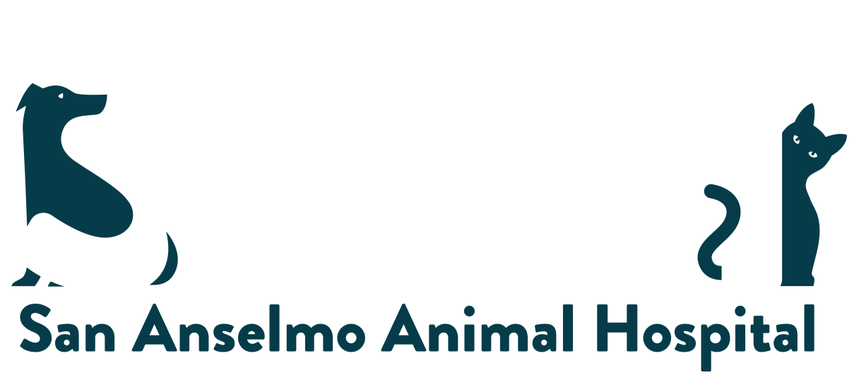  San Anselmo Animal Hospital