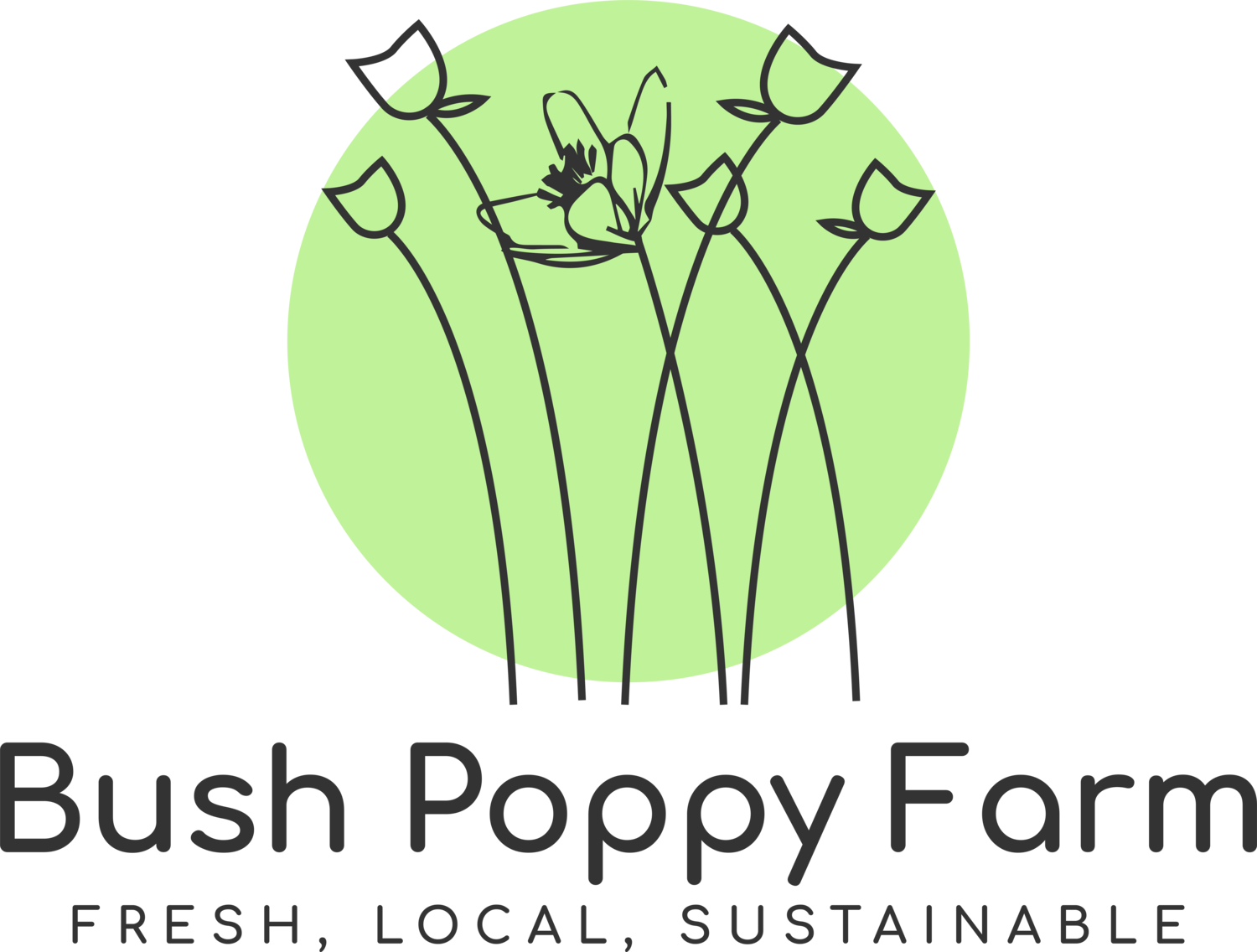 Bush Poppy Farm