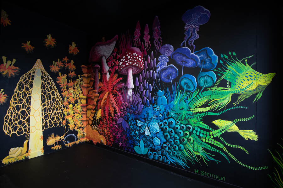 《地球与海洋之间的Entre Terre et Mer》,2019年,代代尔,瓦讷,斯特凡妮·基尔加斯特