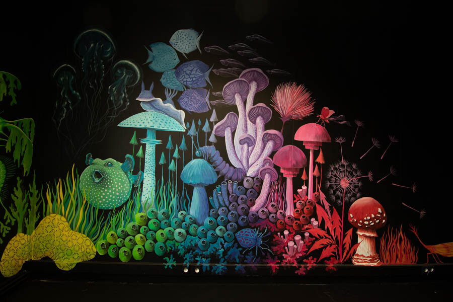 《地球与海洋之间的Entre Terre et Mer》,2019年,代代尔,瓦讷,斯特凡妮·基尔加斯特