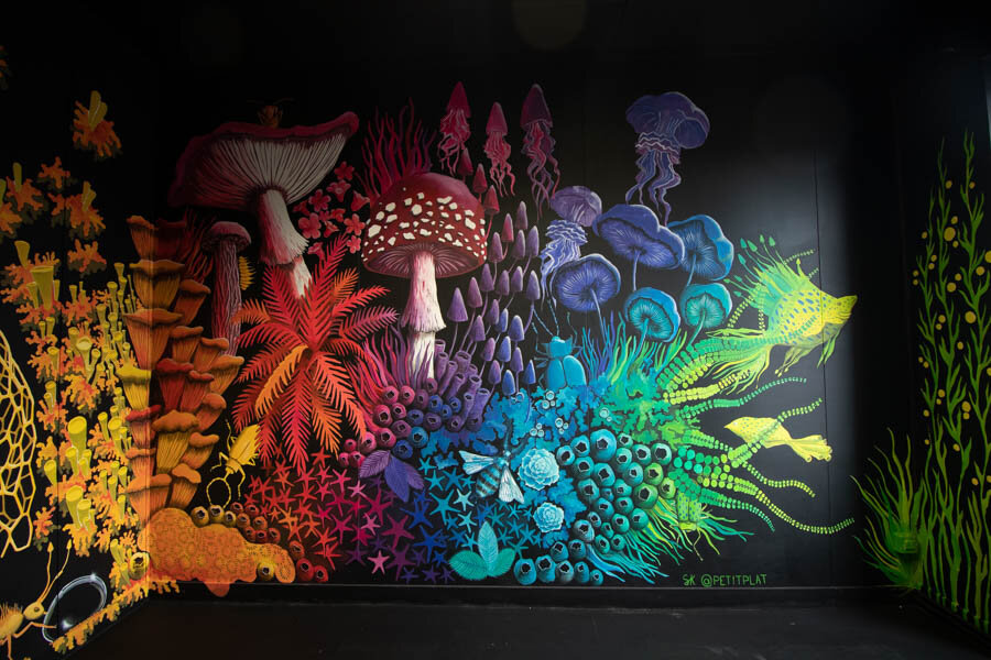 《地球与海洋之间的Entre Terre et Mer》,2019年,代代尔,瓦讷,斯特凡妮·基尔加斯特