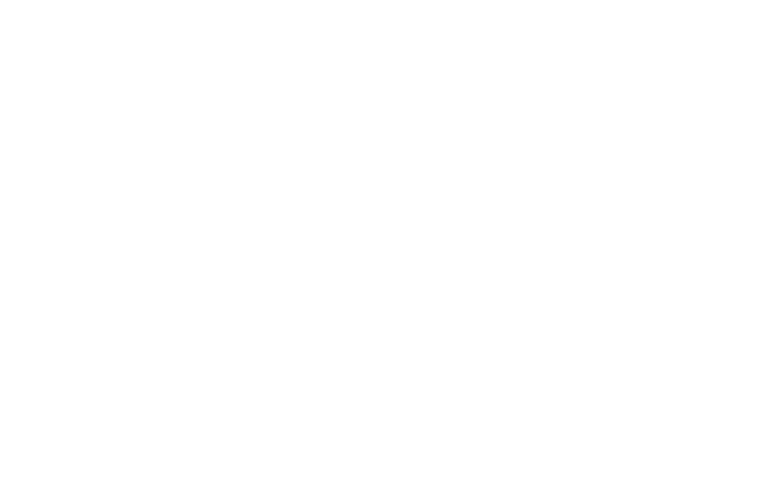 3 Birds Meditative