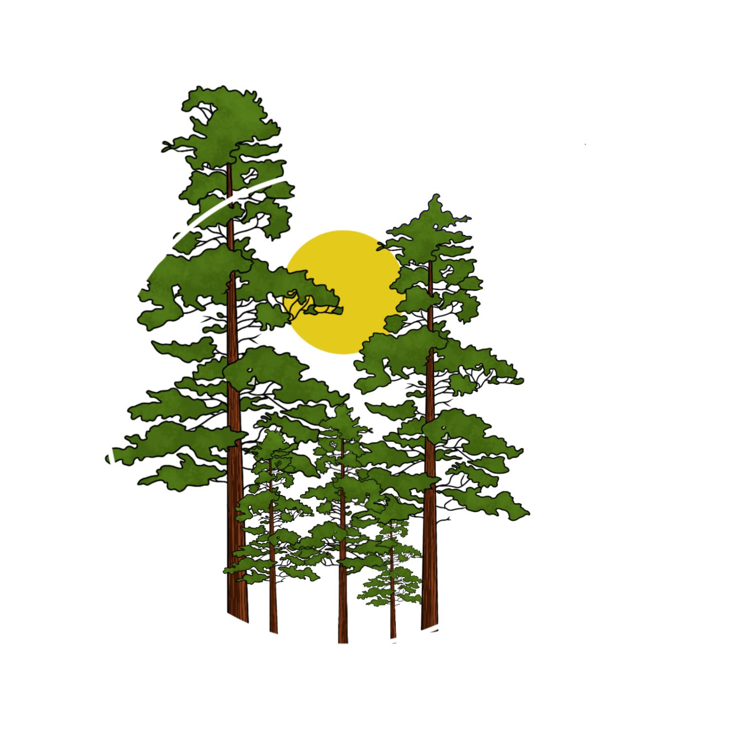 White Pine Wellness