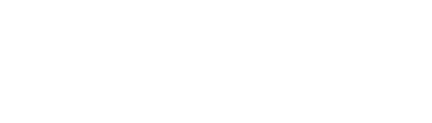 METASYSTEMS