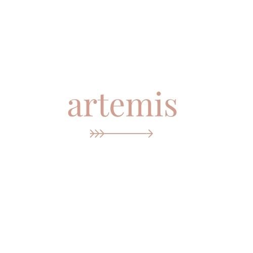 ARTEMIS PARTNERSHIPS
