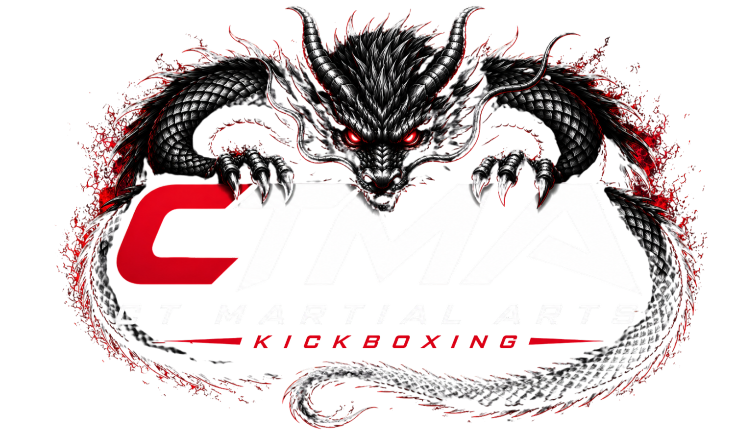 CT-Martial Arts