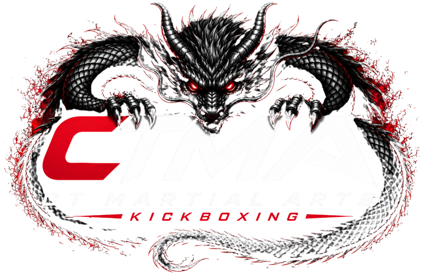 CT-Martial Arts