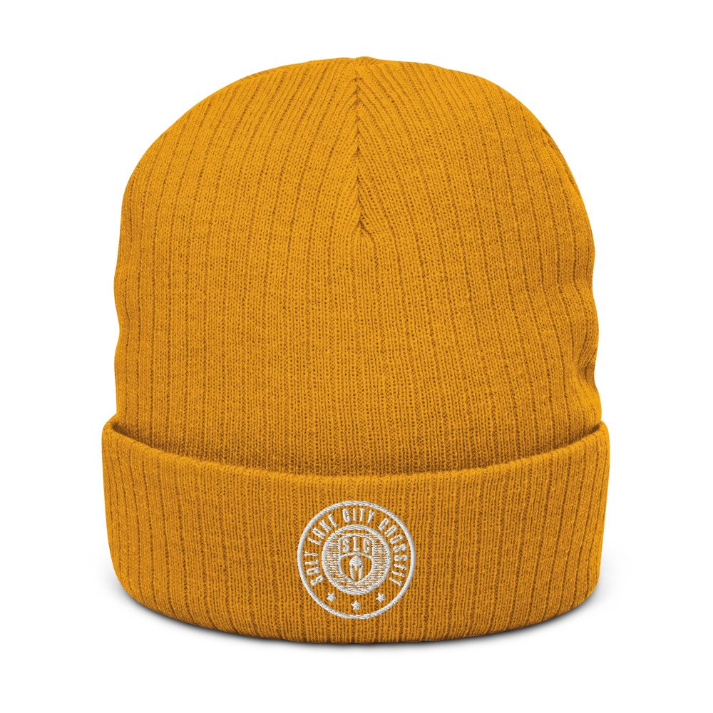 Recycled cuffed Lake Salt — CrossFit beanie City