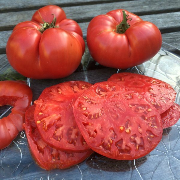 Tomato, Beefsteak — Heirloom Vegetable and Flower Seeds of New England