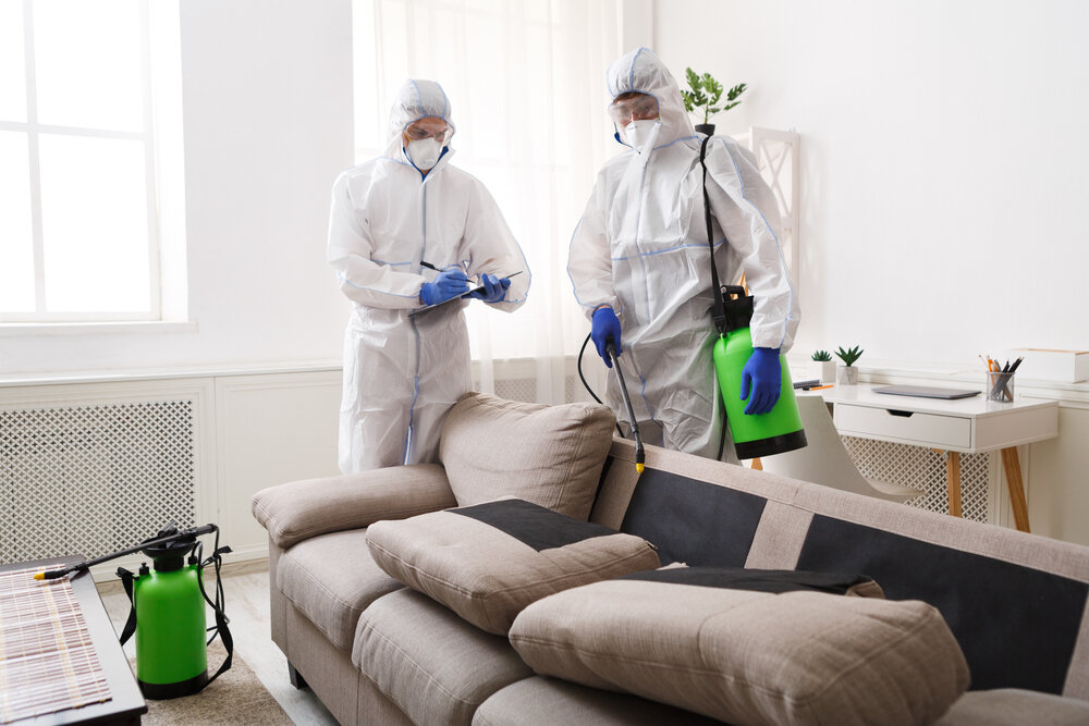 家庭消毒由清洁服务、表面处理自冠状病毒、蒸汽消毒
