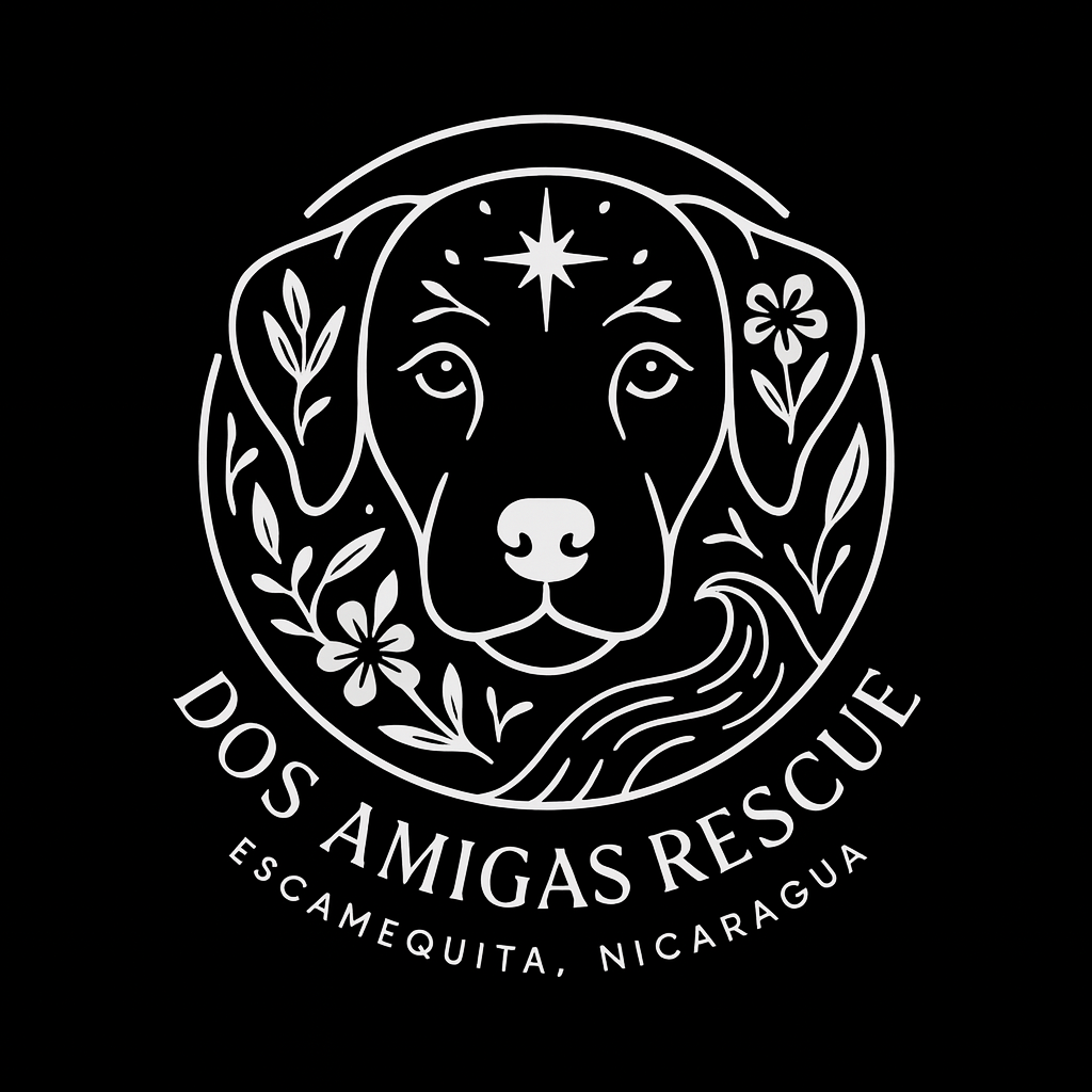 Dos Amigas