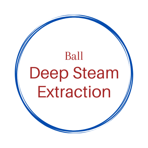 Deep Steam Extraction