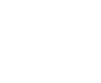  The Velvet Notes