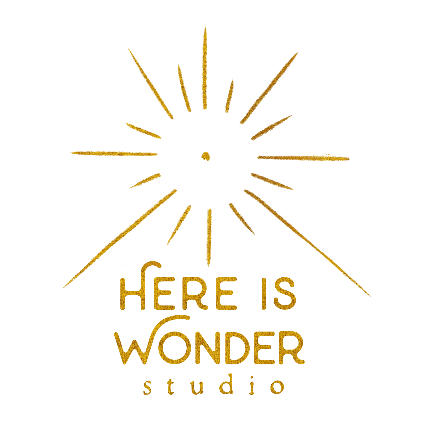 here is wonder studio