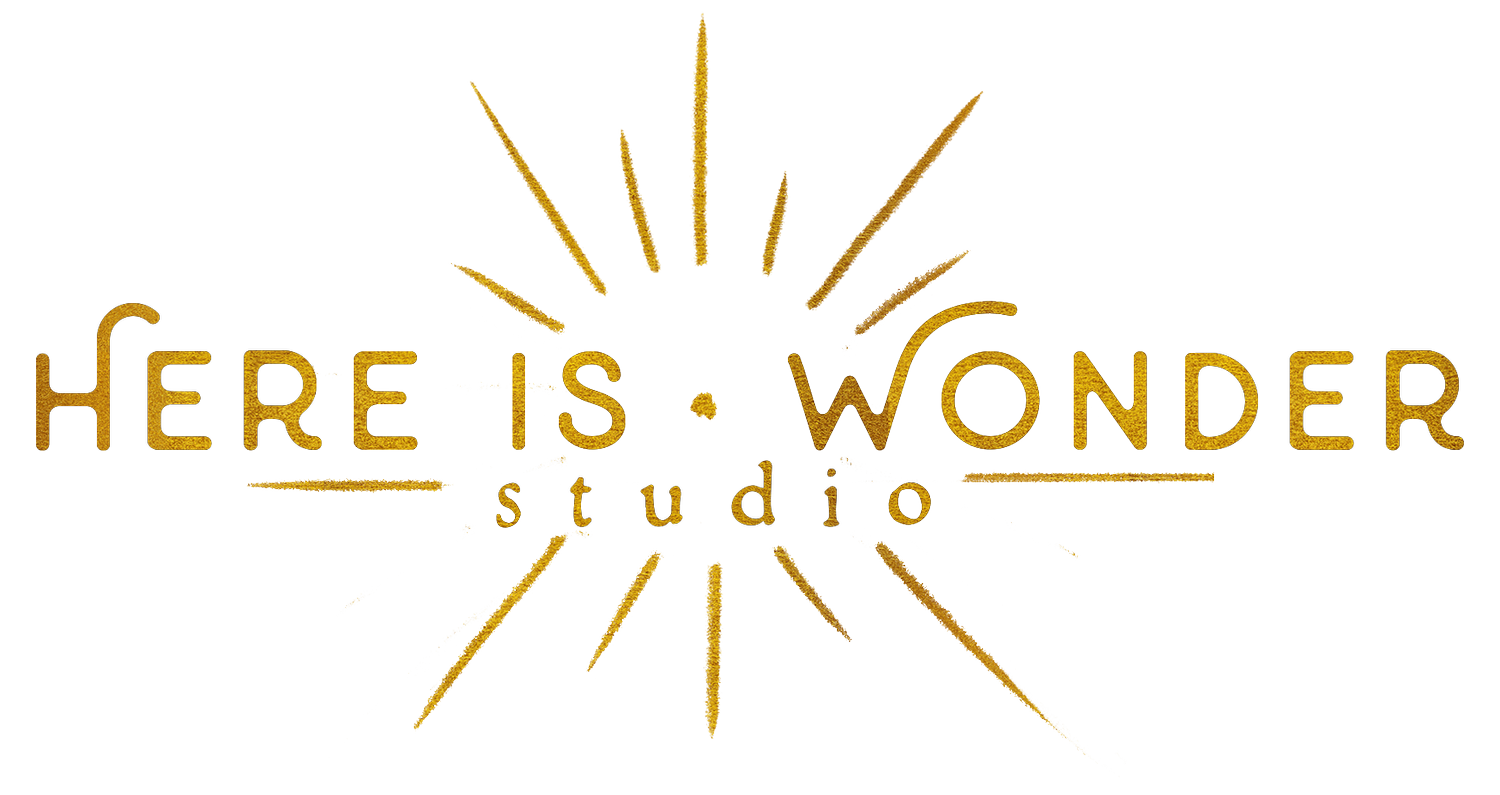 here is wonder studio