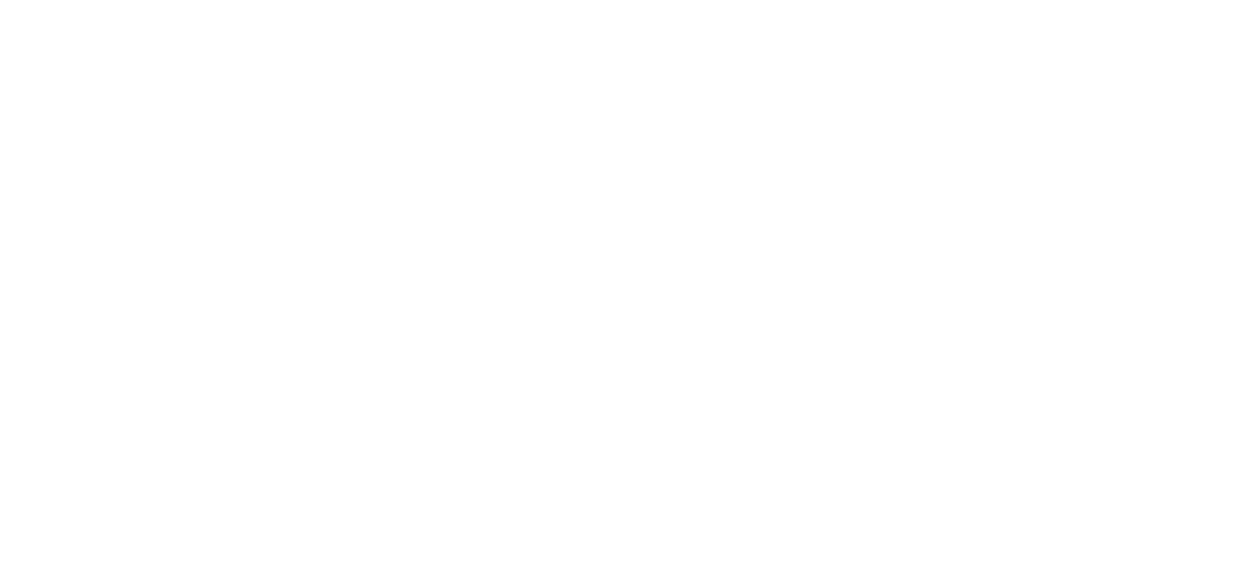 The Ninety-Niners