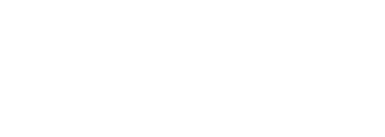  The Mitchell and Friends Foundation