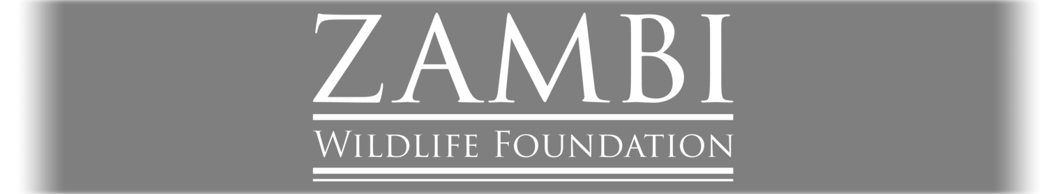 Zambi Wildlife Foundation