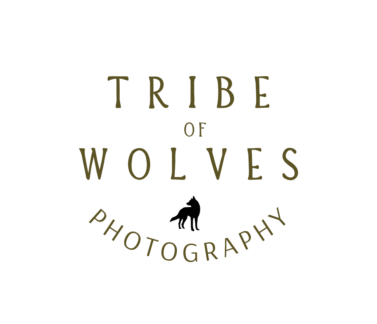 Tribe of Wolves Photography - Washington DC Wedding Elopement and Family Photographer