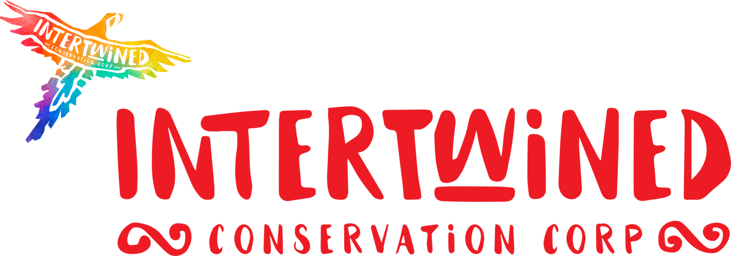 Intertwined Conservation