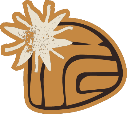 Primitive Photo Labs