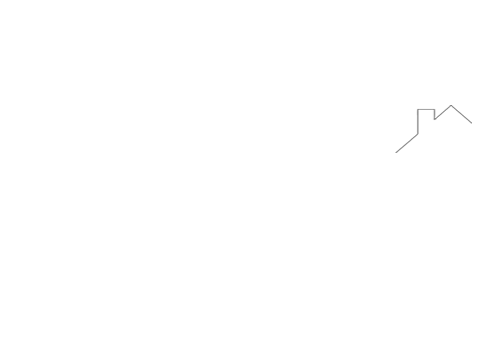The Missy Flores Team