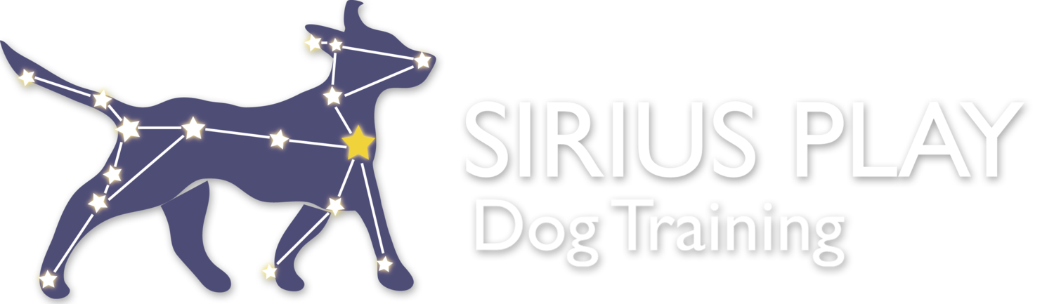 Sirius Play Dog Training