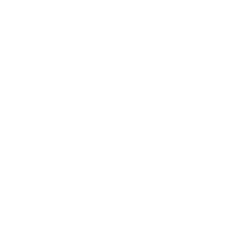 RADICAL MOTHER WELLNESS
