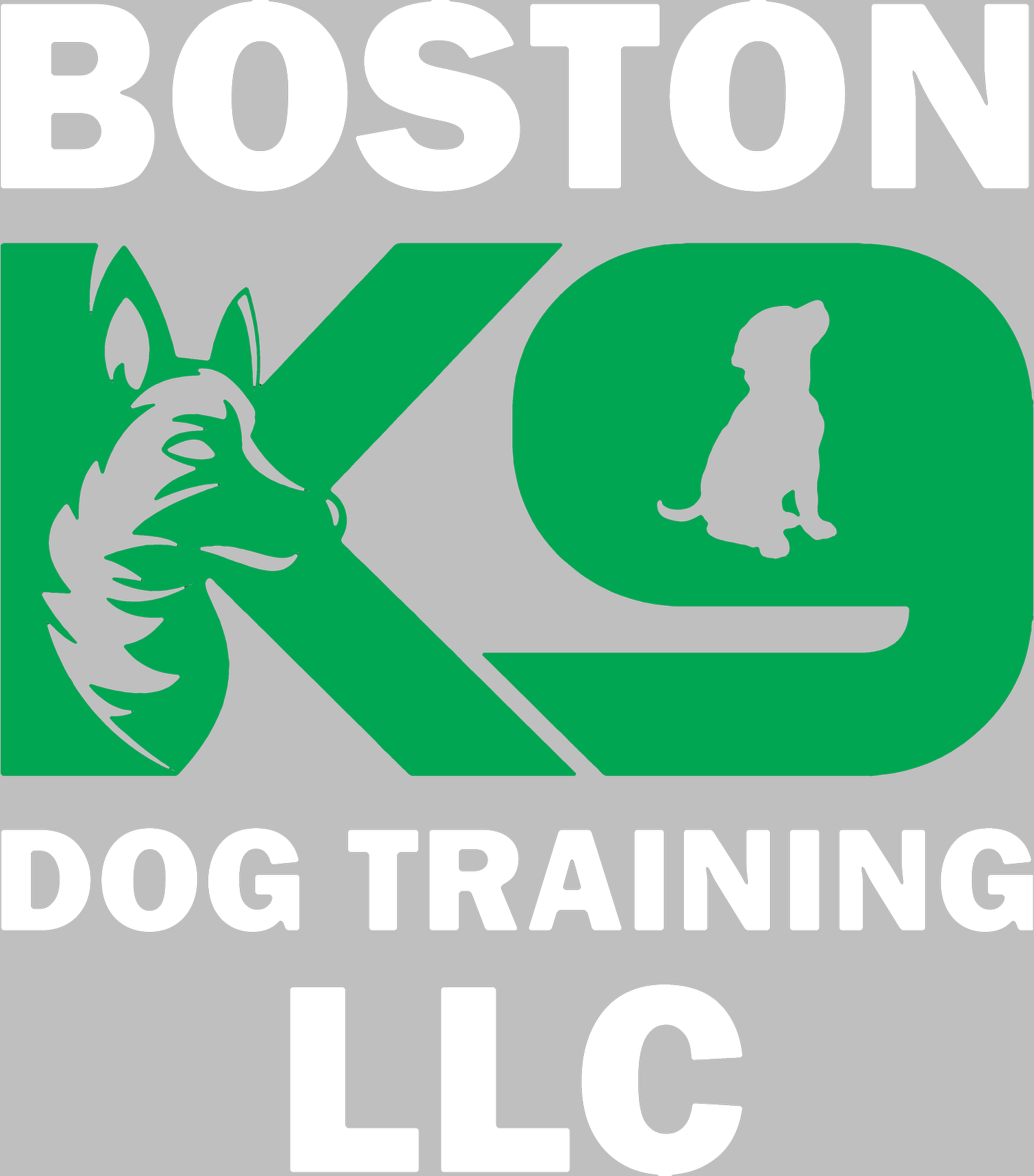 BOSTON K9 DOG TRAINING