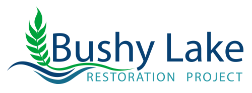 Bushy Lake Restoration Project