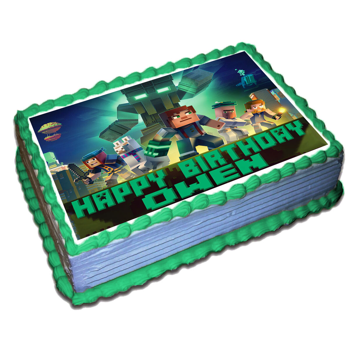Minecraft Cake Decorating Photos