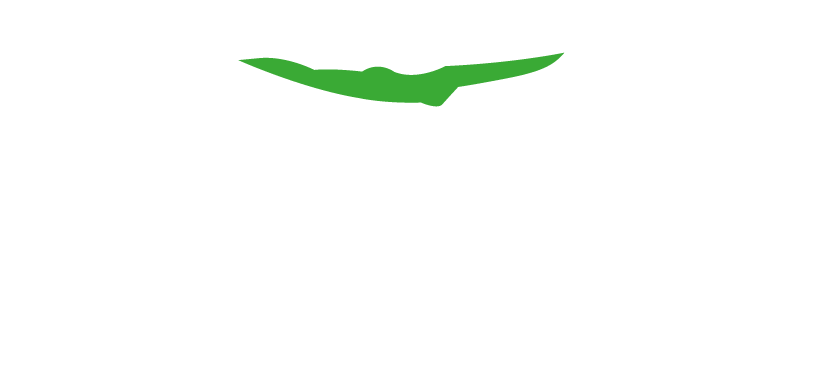 Active Physio Site