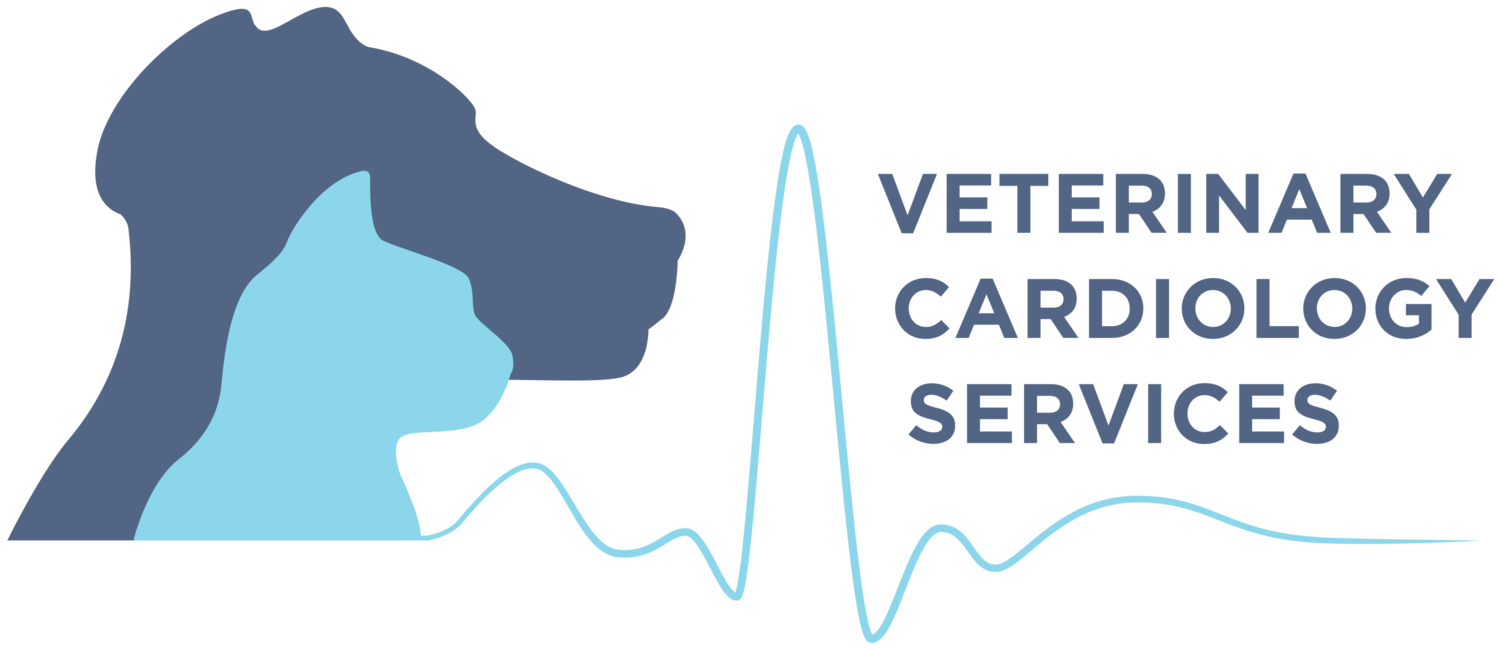 VETERINARY CARDIOLOGY SERVICES