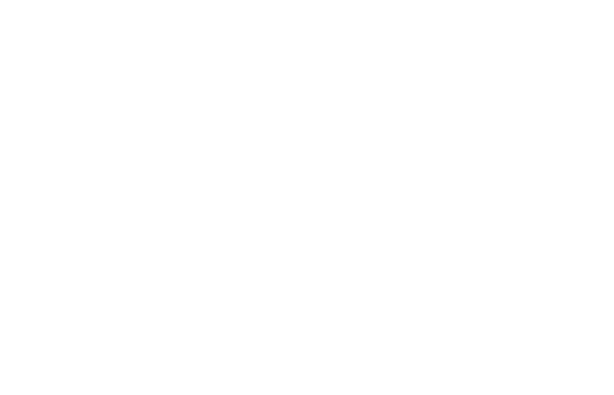 Summit Investigations
