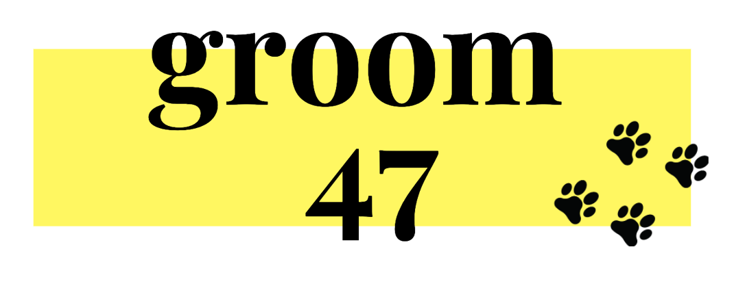 Groom 47