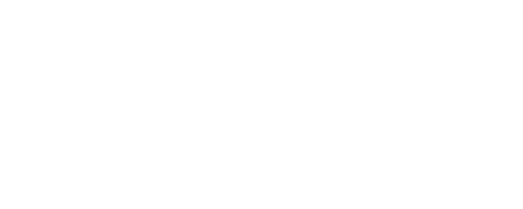 Fitzgerald Legal Consult, P.C.
