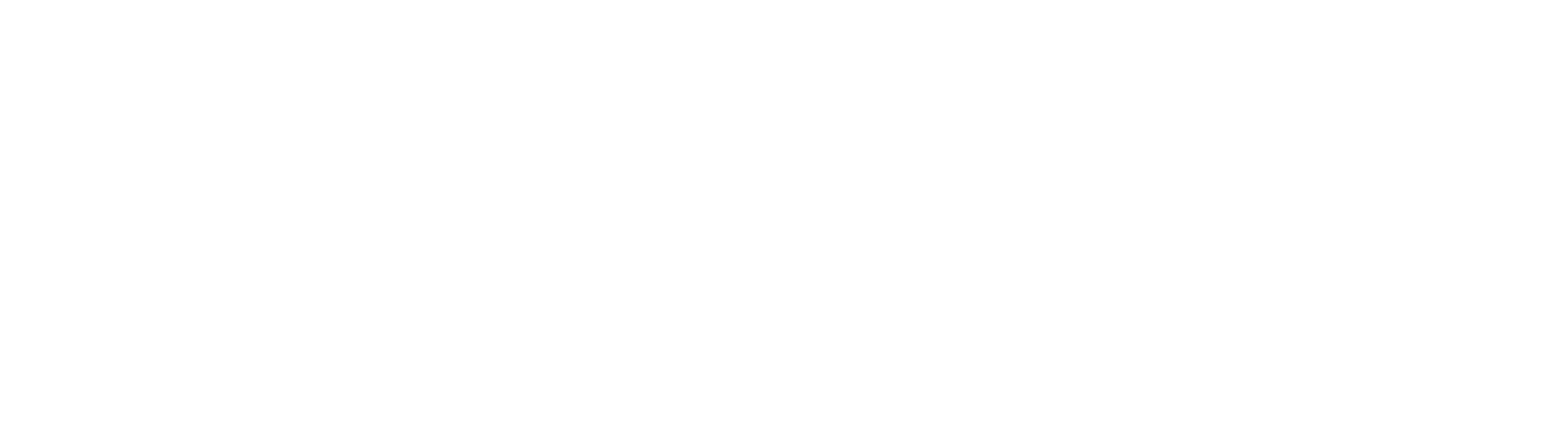 The Future Of Aviation Group