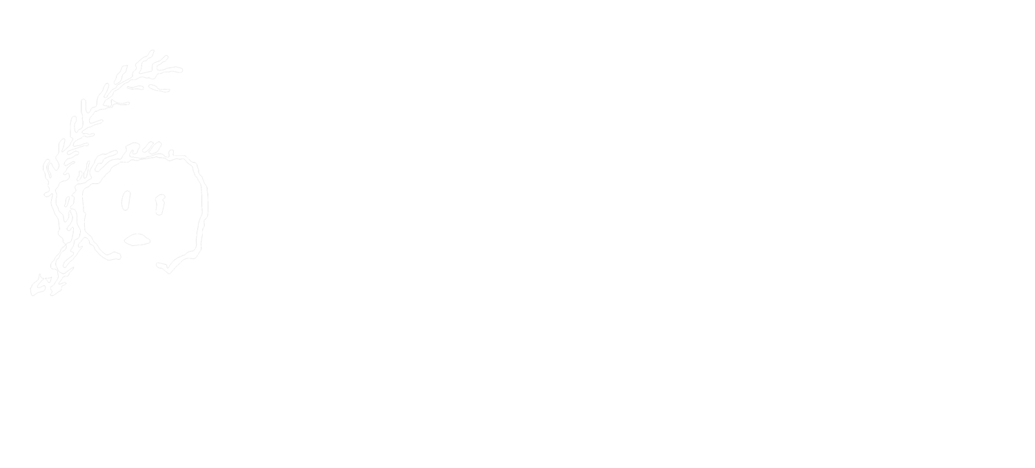 Bomazeen Land Trust