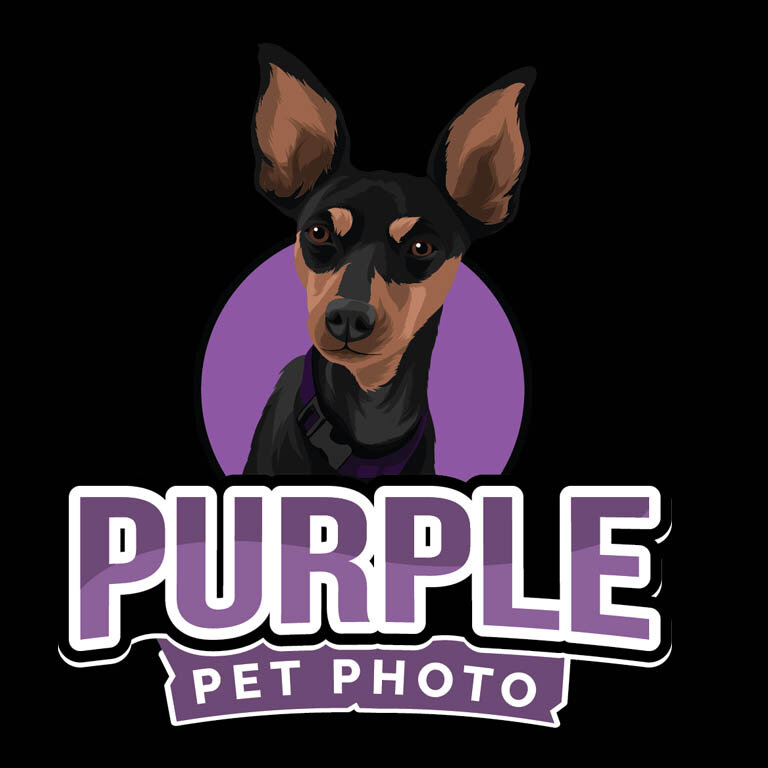 Purple Pet Photo