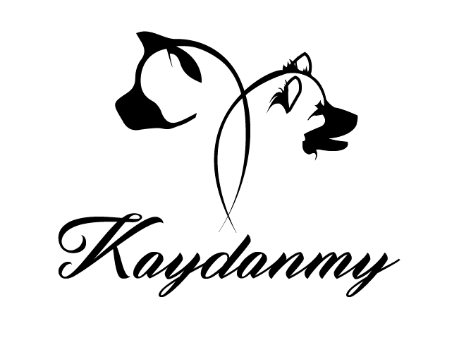 Kaydanmy