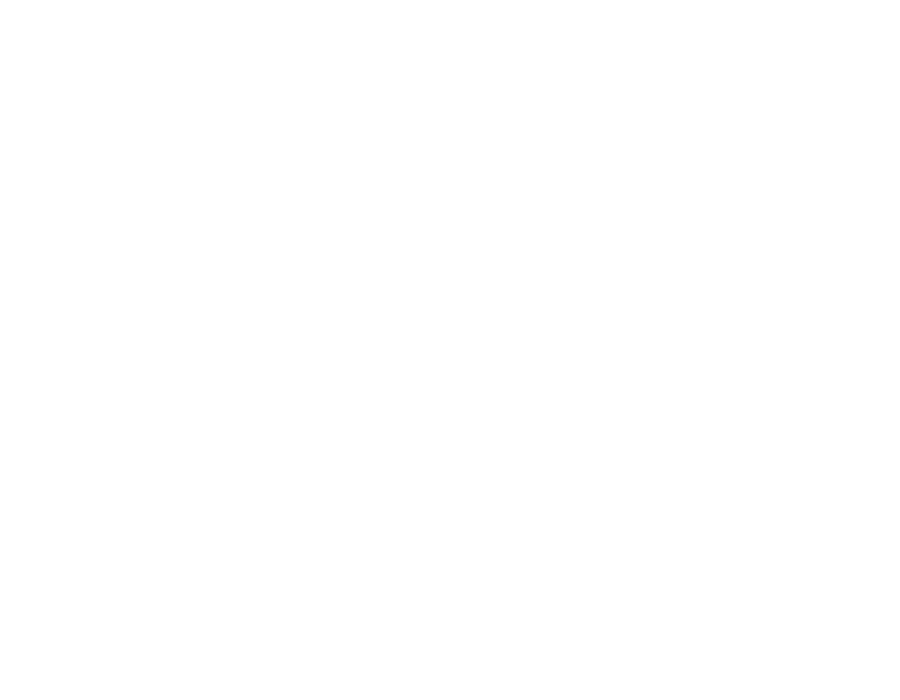Next Peak Oy