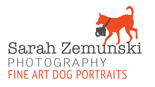 Sarah Zemunski Photography - Fine Art Dog Portraits