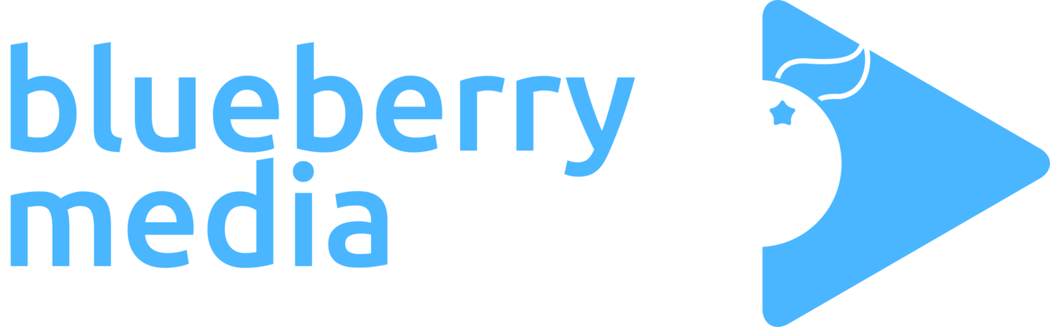 Blueberry Media 