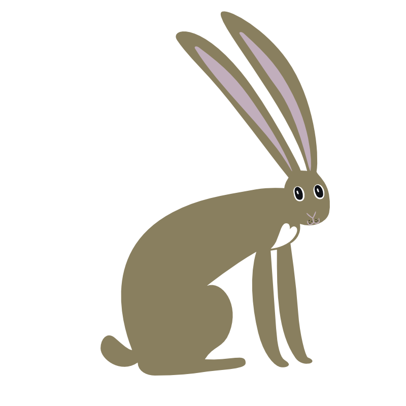 兔子.png