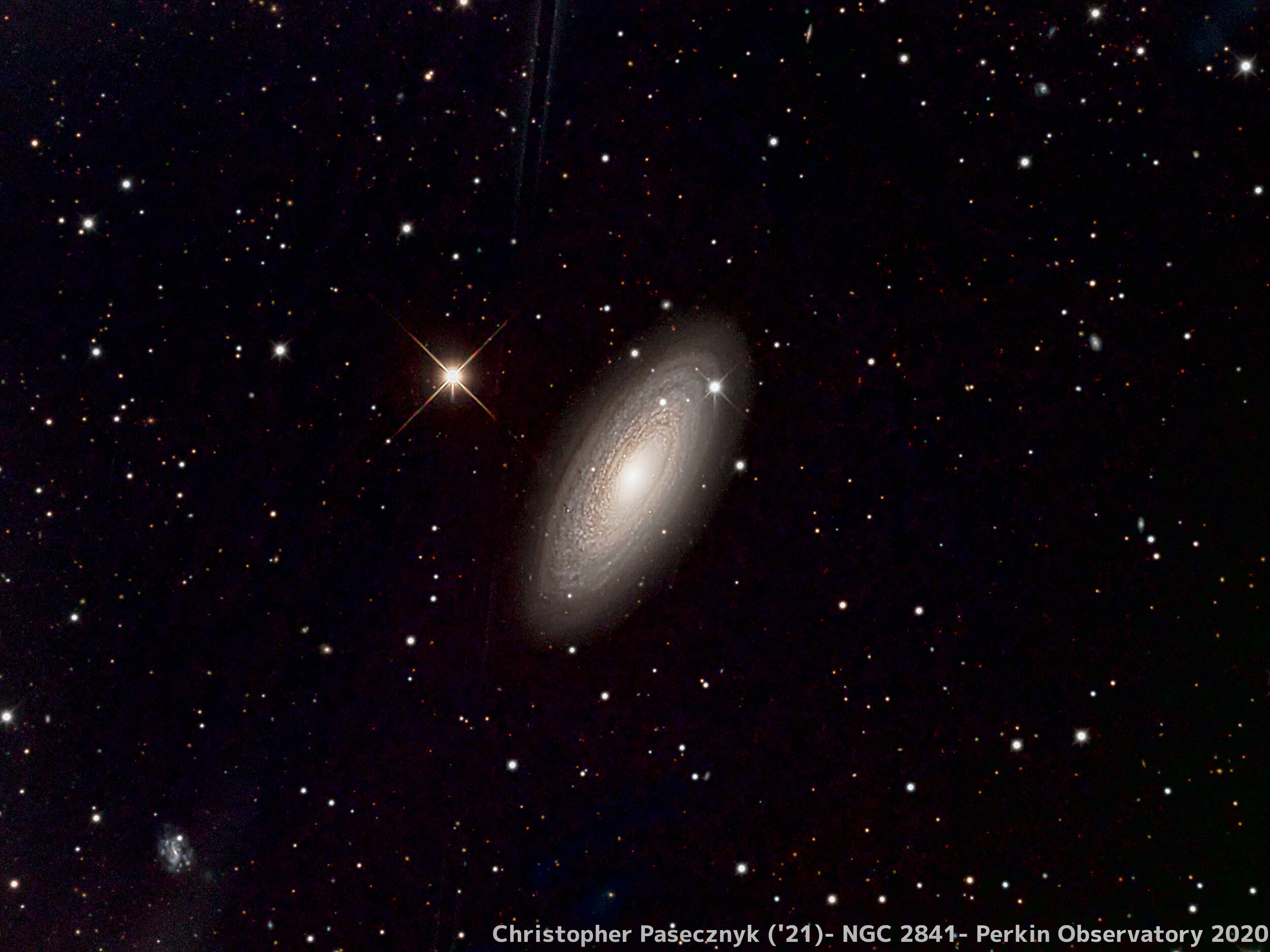 Christopher Pasecznyk NGC 2841.jpeg