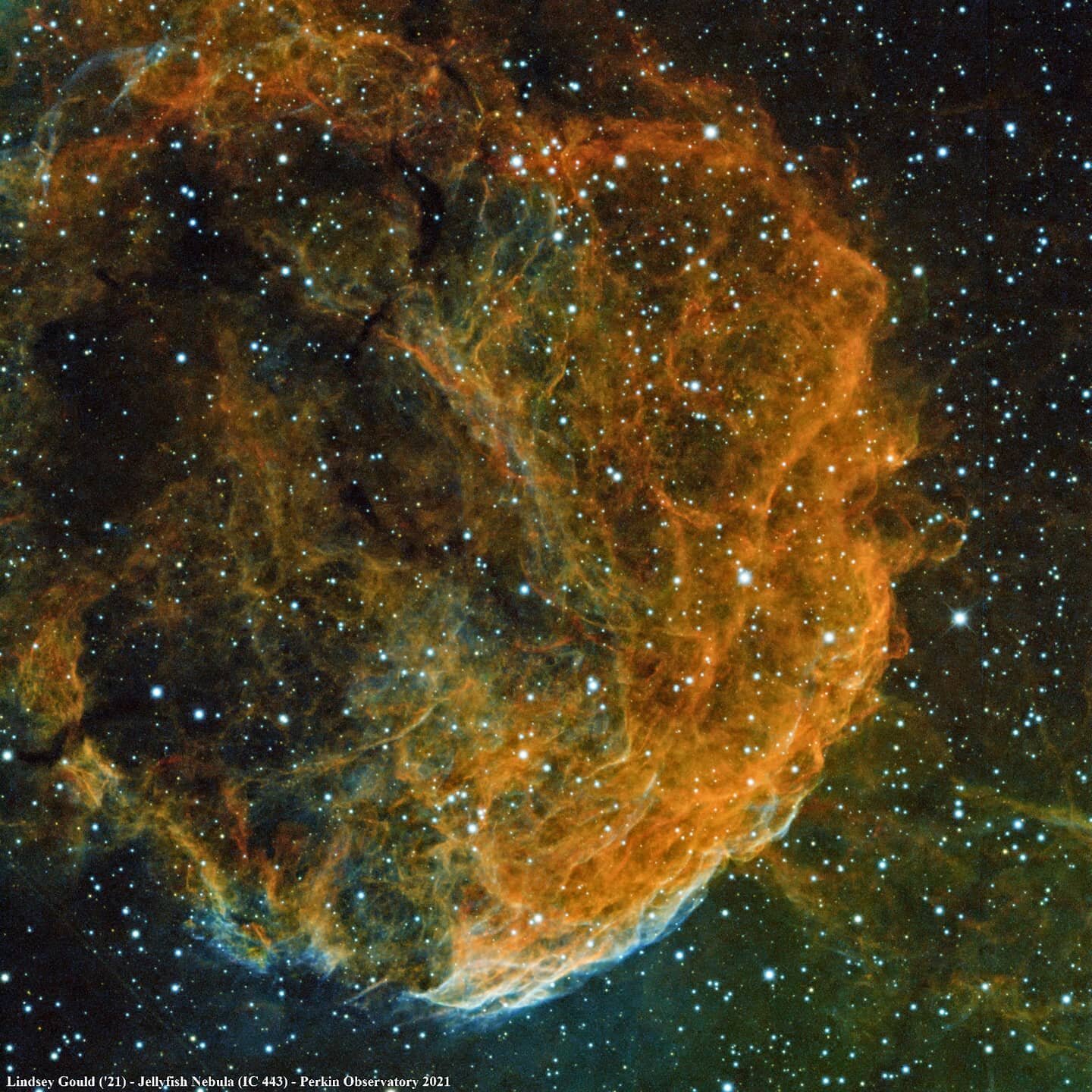 这张照片是水母星云，距离凯时官方网站大约5000光年. 你可以在双子星座附近的夜空中找到它. 对于肉眼来说，星云并不如此&rsquo;t have the colors we see here; those were created by combining 