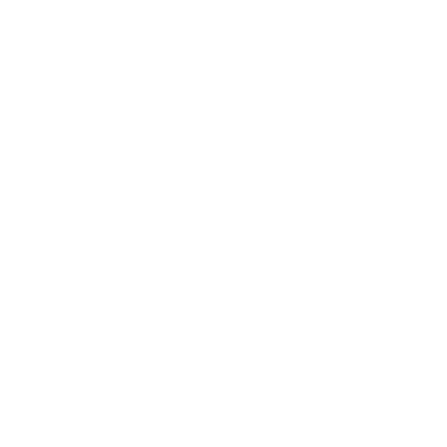 CityMusic Cleveland Chamber Orchestra