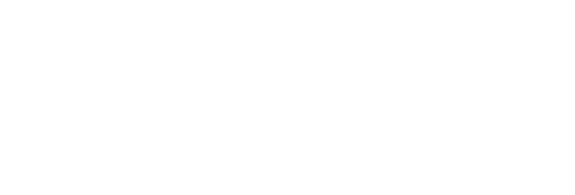 Global Spine Care Initiative