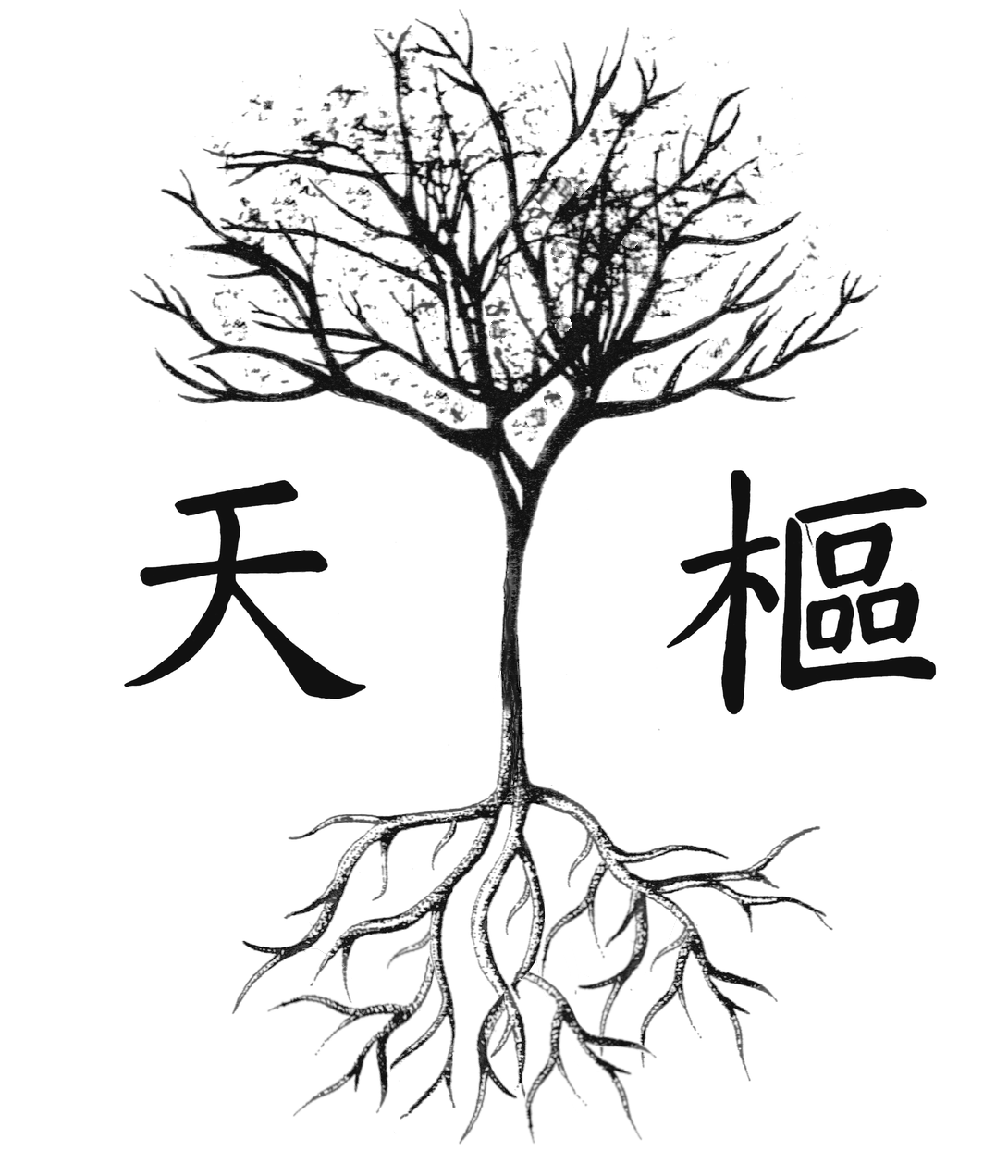 Acupuncture Benjamin Migno Fribourg